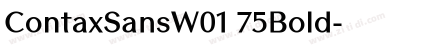 ContaxSansW01 75Bold字体转换